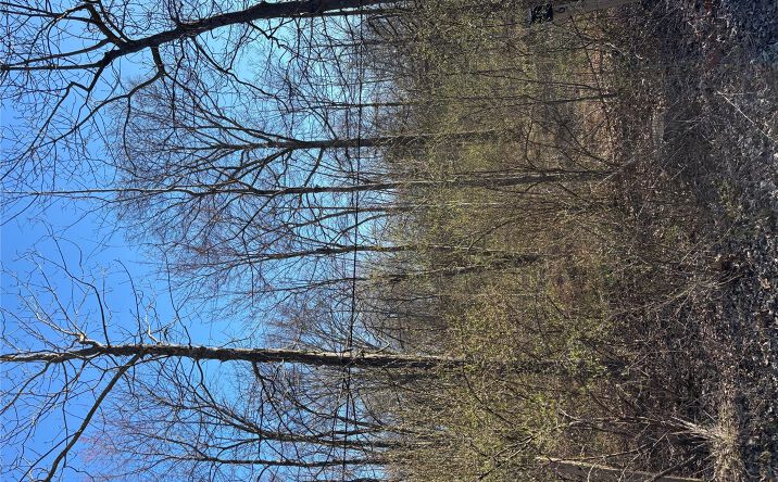 Pictures of Land, Special Purpose property located at 799 Albany Post Road, Gardiner, NY 12561 for sales - image #1