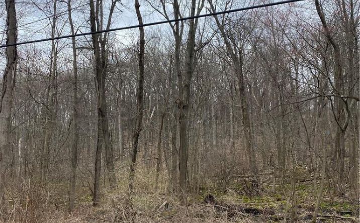 Pictures of Land property located at S Mill Street, Newburgh (Town), NY 12550 for sales - image #1