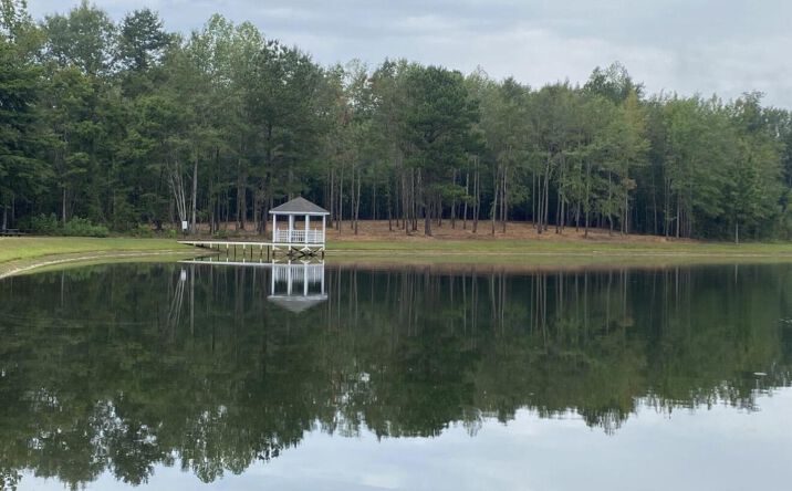 Pictures of Land property located at King Road, Meridian, MS 39305 for sales - image #1