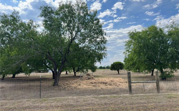 Pictures of Land property located at 9.5  miles N Trosper Road, Mission, TX 78573 for sales - image #1