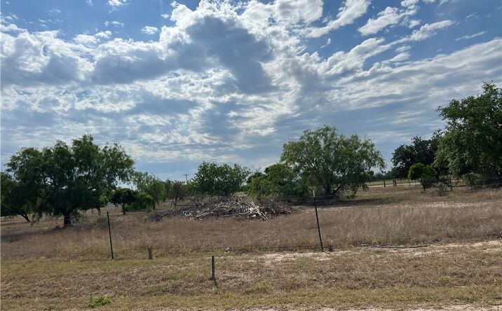 Pictures of Land property located at 9.5 miles N Trosper Road, Mission, TX 78573 for sales - image #1