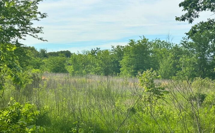 Pictures of Mixed Use, Land property located at 441 S 1st St, Point, TX 75472 for sales - image #1