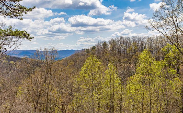 Pictures of Land, Multifamily property located at 760 Walkers Creek Rd., Marion, VA 24354 for sales - image #1
