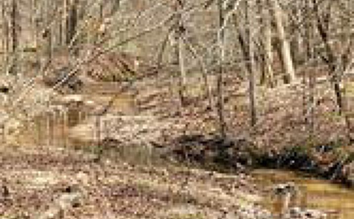 Pictures of Land property located at McPherson Church Rd, Dallas, GA 30132 for sales - image #1
