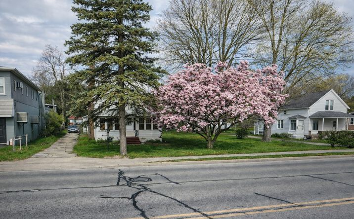 Pictures of Retail, Multifamily, Mixed Use property located at 1027 N LEROY ST, FENTON, MI 48430 for sales - image #1