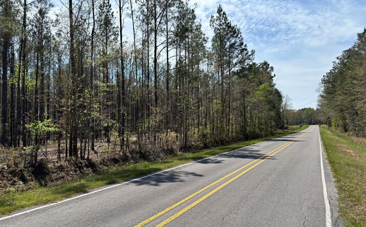 Pictures of Land property located at 000 Cr 610, Shubuta, MS 39360 for sales - image #1