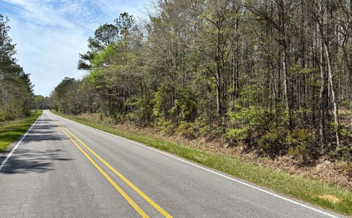 Pictures of Land property located at 001 Cr 610, Shubuta, MS 39360 for sales - image #1