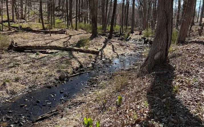 Pictures of Land property located at 17 OLD BETHEL RD, NEWTOWN, CT 06470 for sales - image #1