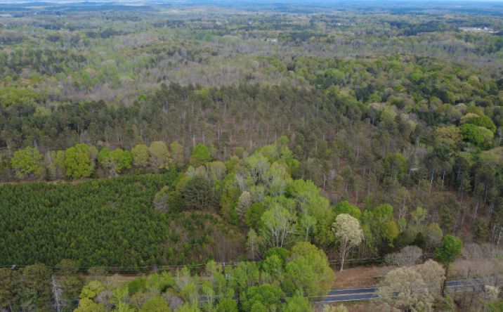 Pictures of Land property located at 1515 Flat Rock Rd, Starr, SC 29684 for sales - image #1