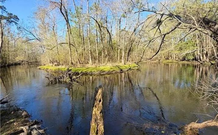 Pictures of Land property located at 00 Clark Road, 92683, NC 28364 for sales - image #1