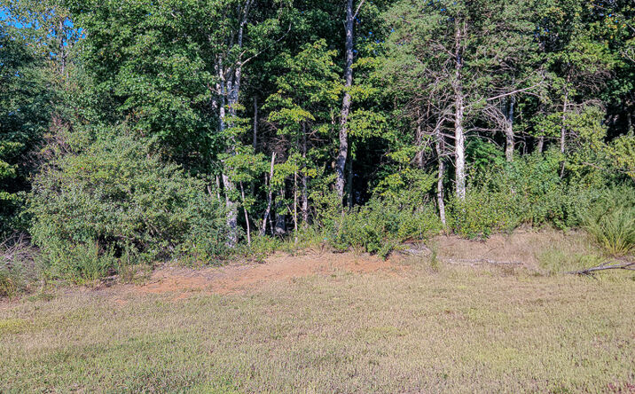 Pictures of Land property located at Lot 6 Main St, Buchanan, VA 24066 for sales - image #1
