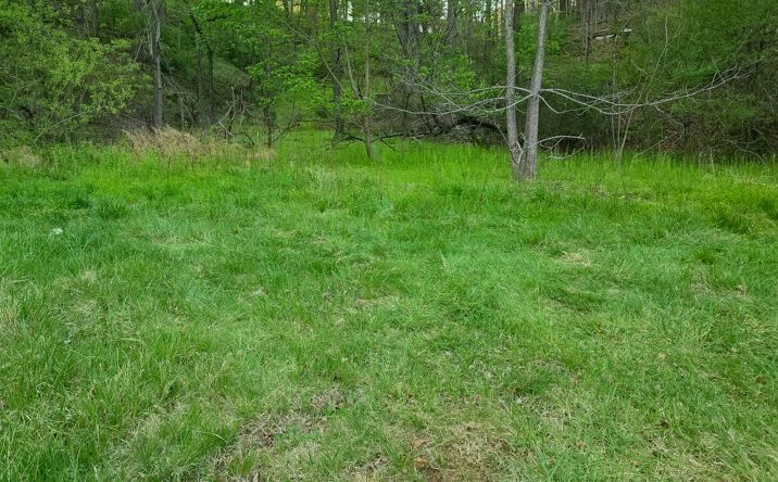 Pictures of Land property located at 6993 Franklin Rd, Boones Mill, VA 24065 for sales - image #1