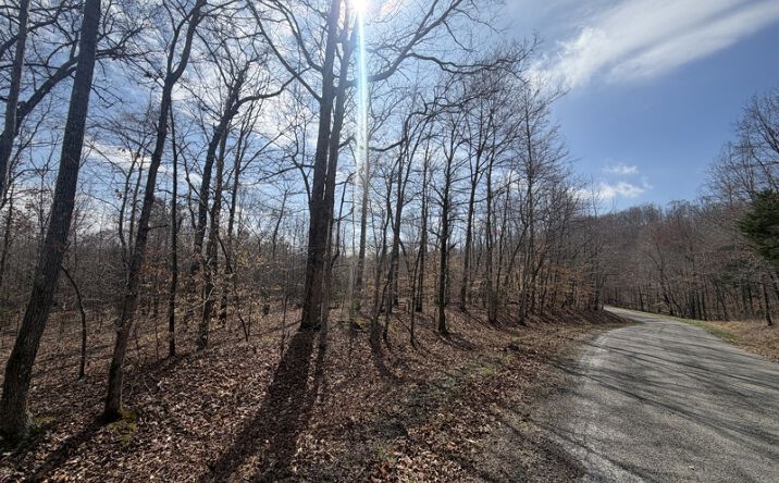 Pictures of Land property located at 1 Highway Coxburg Rd S, Holladay, TN 38341 for sales - image #1