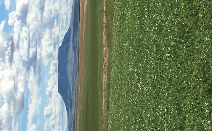 Pictures of Land property located at UKN Flat Creek Road, Geraldine, MT 59446 for sales - image #1