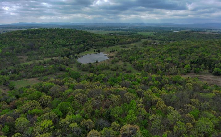 Pictures of Land property located at 1 N 4405 Road, Kinta, OK 74552 for sales - image #1