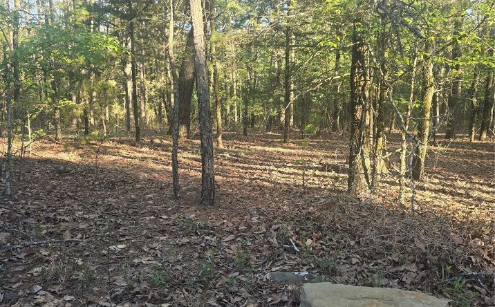 Pictures of Land property located at 43 Buck Creek, Moyers, OK 74523 for sales - image #1