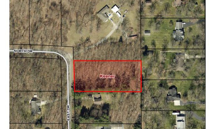 Pictures of Land property located at East Drive, DeMotte, IN 46310 for sales - image #1