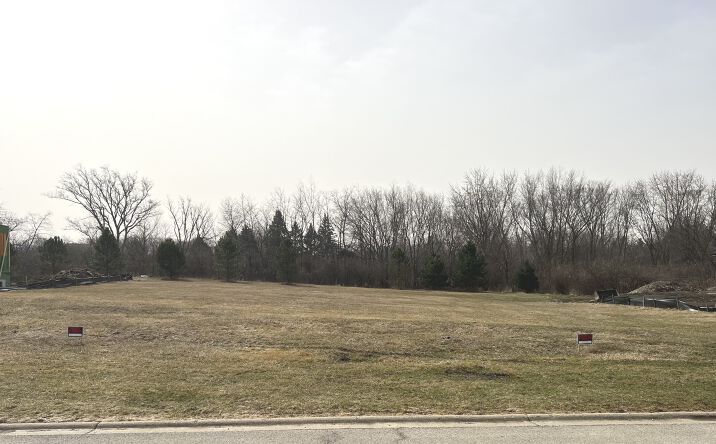 Pictures of Land property located at 1244 Georgias Way, New Lenox, IL 60451 for sales - image #1