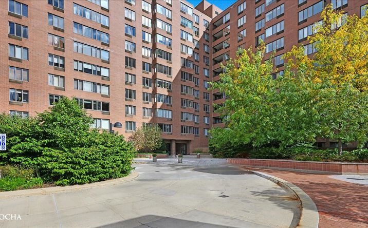 Pictures of Land, Special Purpose property located at 801 S PLYMOUTH Court 809, Chicago, IL 60605 for sales - image #1