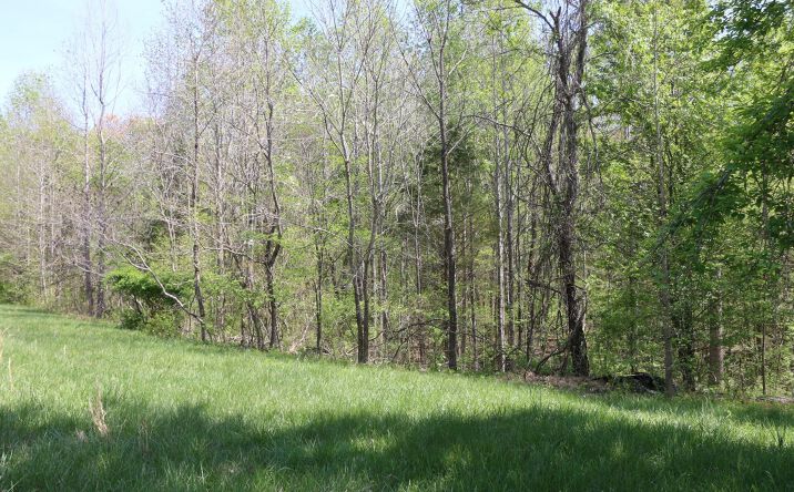 Pictures of Land property located at 820 New Rd, Clarksville, TN 37040 for sales - image #1
