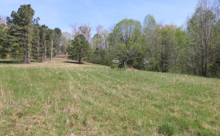 Pictures of Land property located at 820 New Rd, Clarksville, TN 37040 for sales - image #1