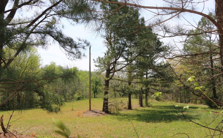 Pictures of Land property located at 820 New Rd, Clarksville, TN 37040 for sales - image #1