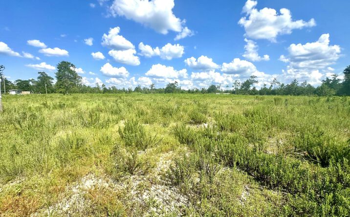 Pictures of Land property located at 12810 HWY 231, Youngstown, FL 32466 for sales - image #1