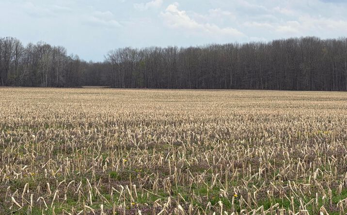 Pictures of Land property located at 0 Forman Road, Austinburg, OH 44010 for sales - image #1