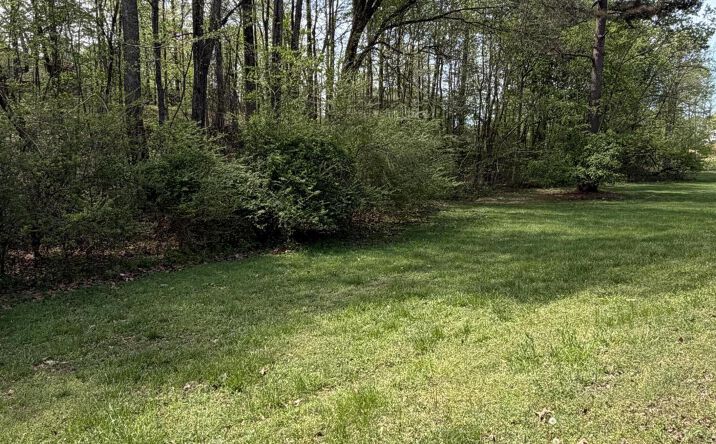 Pictures of Land property located at Eastern Shores Drive, Lexington, TN 38351 for sales - image #1