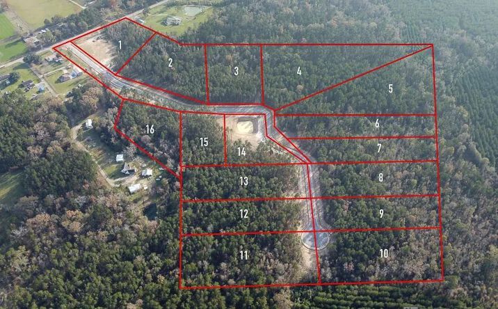 Pictures of Land property located at 18368 Settlement Trace, Livingston, LA 70462 for sales - image #1