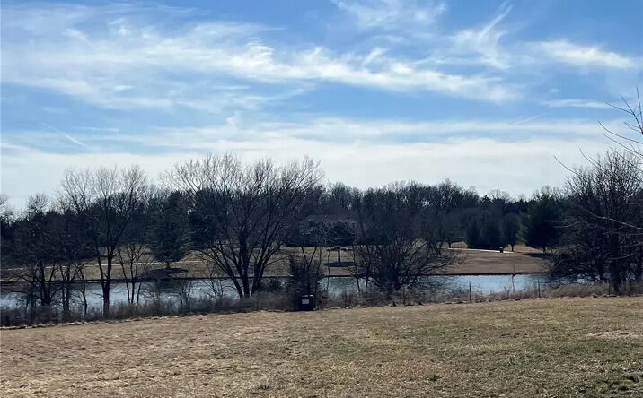 Pictures of Land property located at 2 Grand Ave, Lebanon, MO 65536 for sales - image #1