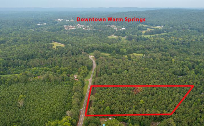 Pictures of Land property located at Durand Highway, Warm Springs, GA 31830 for sales - image #1