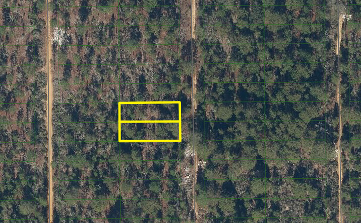 Pictures of Land property located at 225 Maple St, Interlachen, FL 32148 for sales - image #1