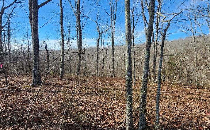 Pictures of Land, Multifamily property located at id 14 Overlook Dr, Holladay, TN 38341 for sales - image #1