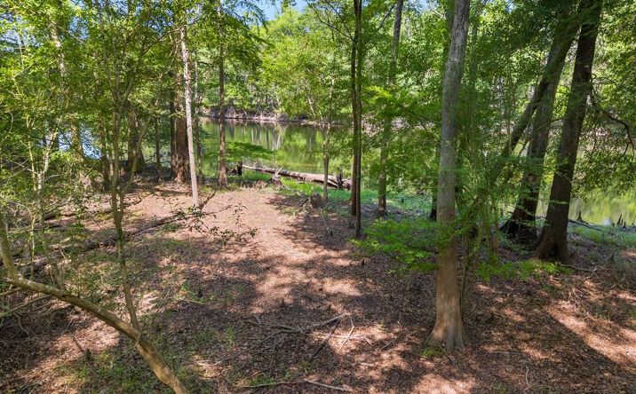 Pictures of Land property located at NE 28th Ave, Branford, FL 32008 for sales - image #1
