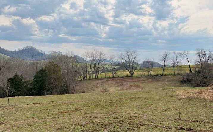 Pictures of Land, Multifamily property located at TBD Romans Ridge Road, Honaker, VA 24260 for sales - image #1