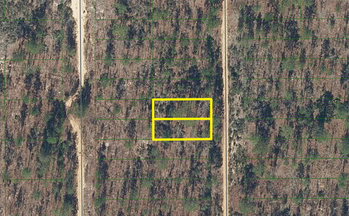 Pictures of Land property located at 423 Dothan St, Interlachen, FL 32148 for sales - image #1