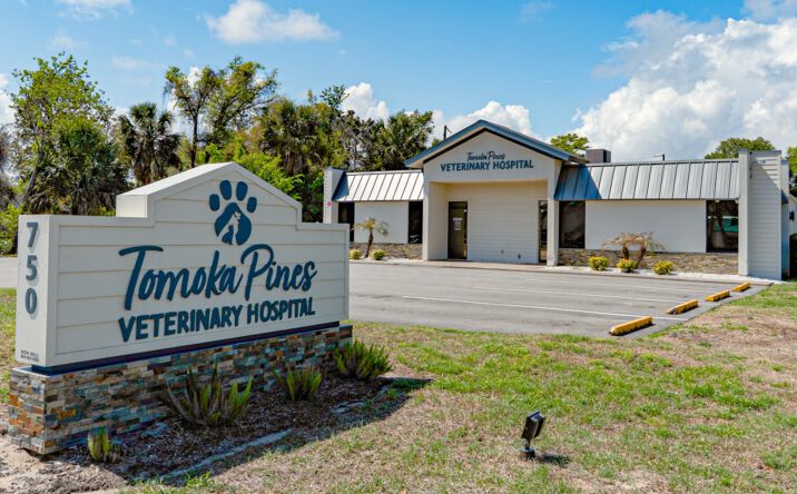 Pictures of Office property located at 750 South Nova Road, Ormond Beach, FL 32174 for sales - image #1