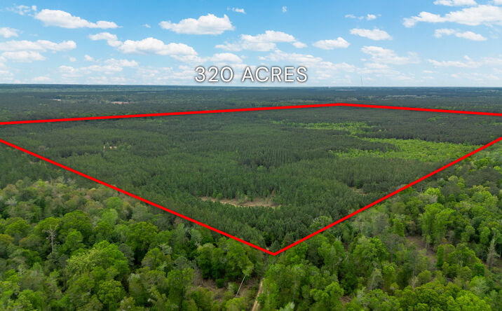 Pictures of Land property located at US-129, Abbeville, GA 31001 for sales - image #1