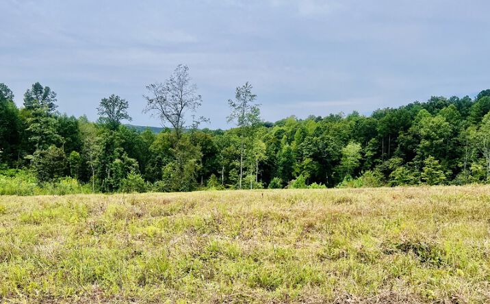 Pictures of Land property located at Kro Hollow Rd, Hohenwald, TN 38462 for sales - image #1