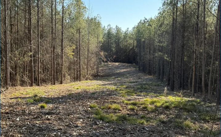 Pictures of Land property located at County Road 5005, 69897, MS 39090 for sales - image #1