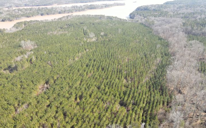 Pictures of Land property located at Rocky Creek Road, Hampton, GA 30228 for sales - image #1