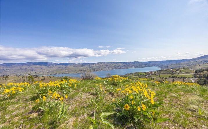 Pictures of Land property located at 1 Bear Mountain Rd, Chelan, WA 98816 for sales - image #1