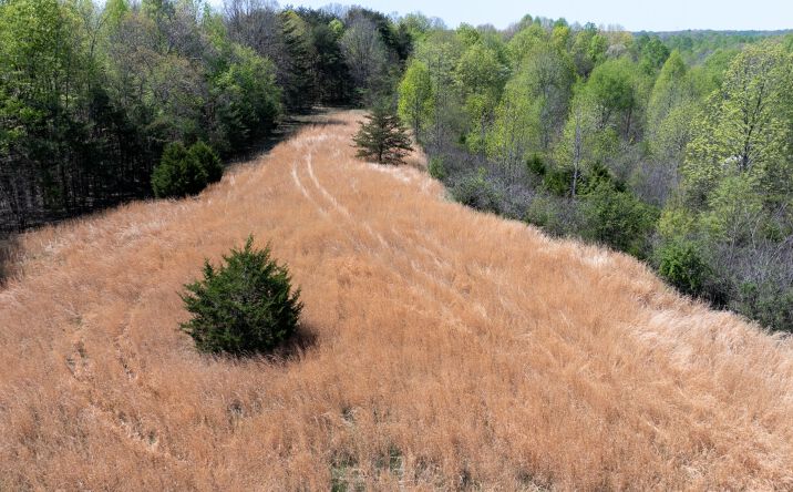 Pictures of Land property located at 0 Dodson Branch Hwy, Cookeville, TN 38501 for sales - image #1