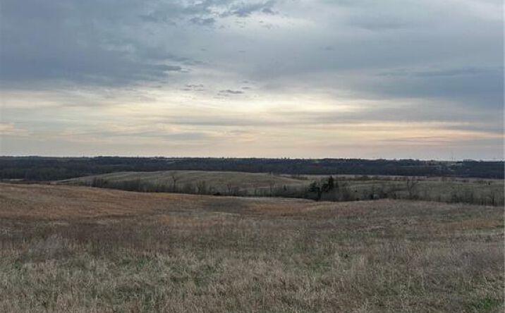 Pictures of Land property located at TBD NE Cook Road, Maysville, MO 64469 for sales - image #1