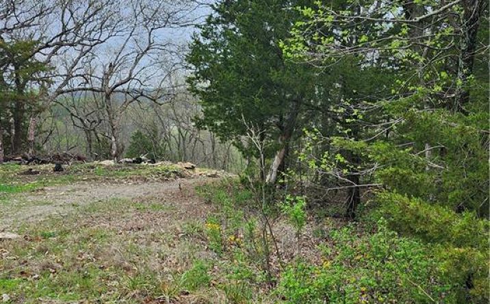 Pictures of Land, Special Purpose property located at 41 E Ridgewood Circle, Linn Valley, KS 66040 for sales - image #1