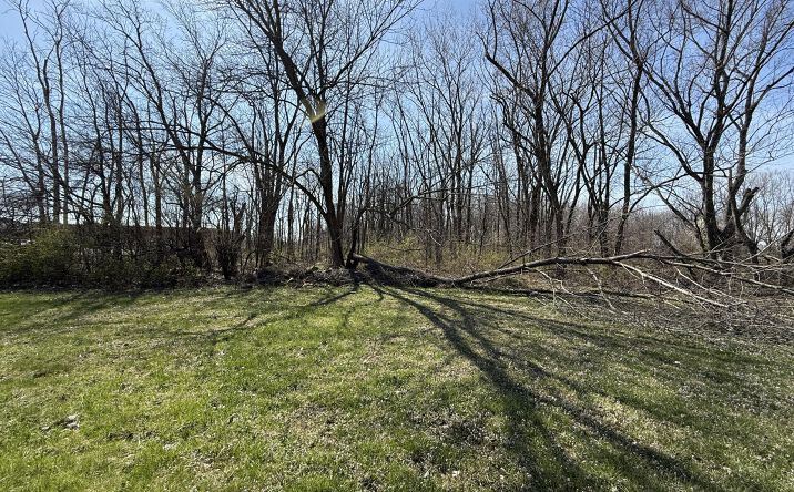 Pictures of Land property located at Tbd Ash Street, Hobart, IN 46342 for sales - image #1