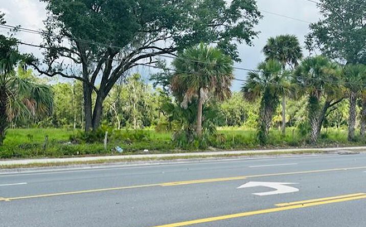 Pictures of Land property located at 17450 SE Us Hwy 19, Cross City, FL 32628 for sales - image #1