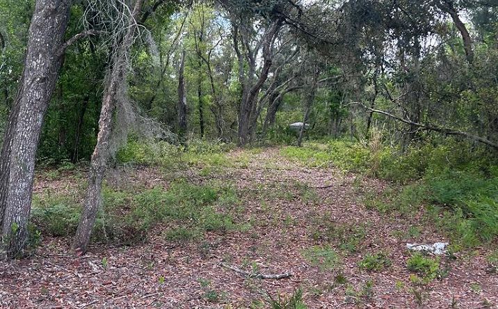 Pictures of Land property located at Jody Morgan Rd, Perry, FL 32348 for sales - image #1