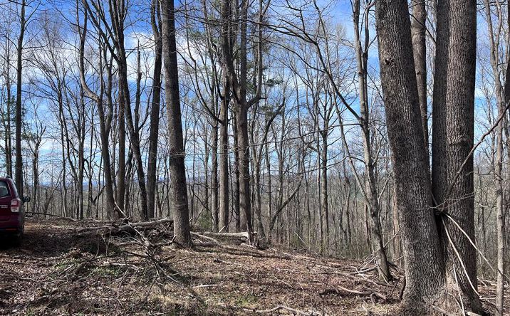 Pictures of Land, Multifamily property located at TBD Calvary Way, Laurel Fork, VA 24352 for sales - image #1